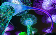 Garden Rhapsody Gardens By The Bays Spectacular Light Show